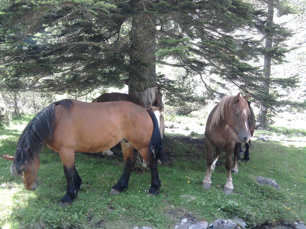 Vacances Perennes Cauterets Εξωτερικό φωτογραφία